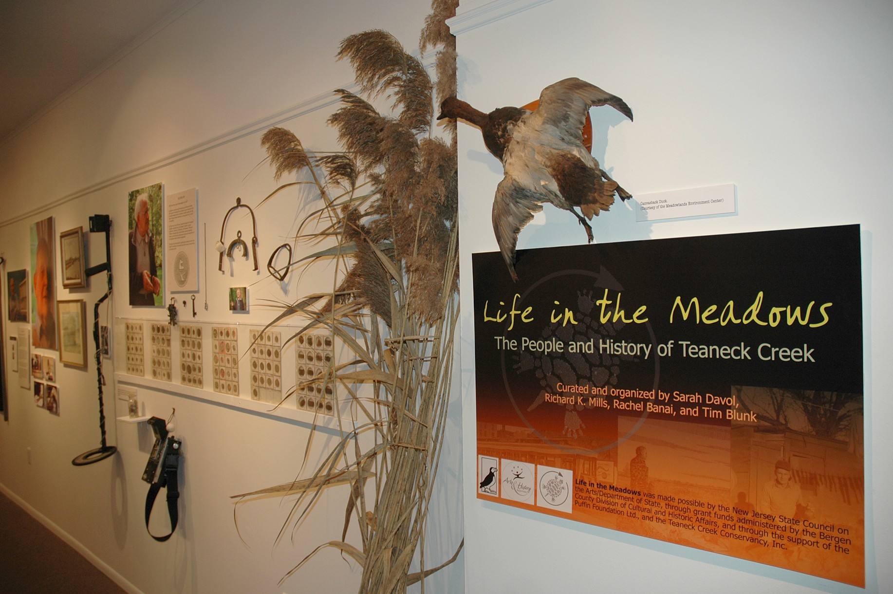 Teaneck creek installation